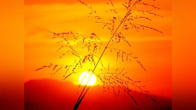 Изрображение 'На юге Узбекистана ожидают до +37: погода на ближайшие дни'