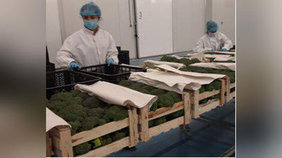 'Eksport hajmining ortishi - mamlakat ravnaqidir'ning rasmi