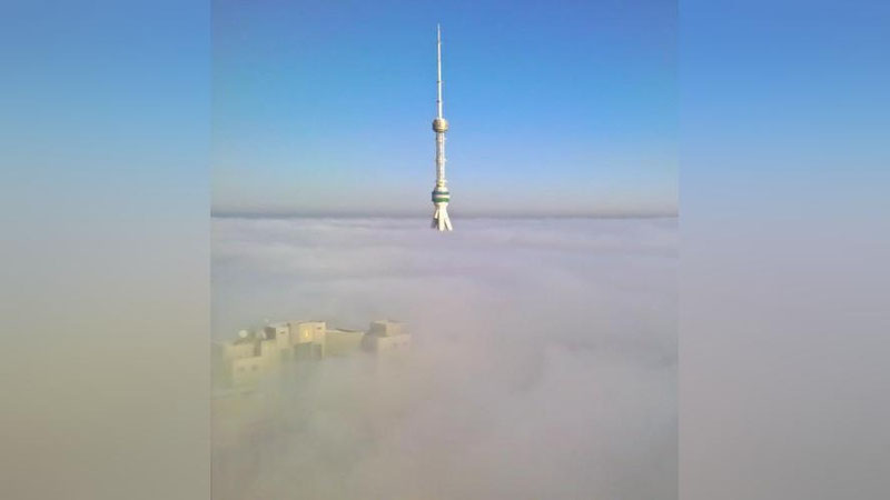 '25 январь куни кузатилган қалин туман инсон саломатлиги учун хавфсиз эдими?'ning rasmi