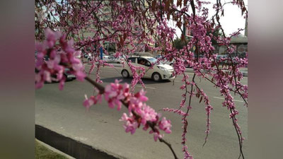 'O`zbekistonga Eron hududidan iliq va nam havo kirib kelmoqda'ning rasmi