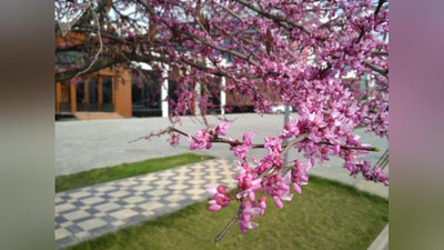 'Bugun harorat biroz ko`tarilib, yog`ingarchiliksiz kun bo`ladi'ning rasmi