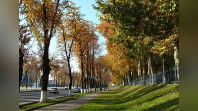 'Dam olish kunlari O`zbekistonda qanday ob-havo kuzatiladi?'ning rasmi