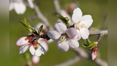 '16 fevralda qanday ob-havo kuzatiladi?'ning rasmi