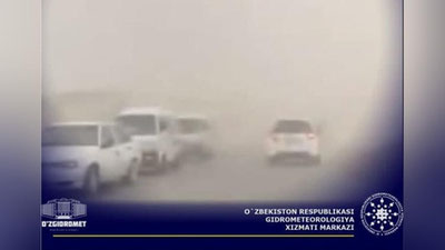 Изрображение 'В Узгидромете рассказали, откуда возникла сильная пыльная буря в Андижане (видео)'