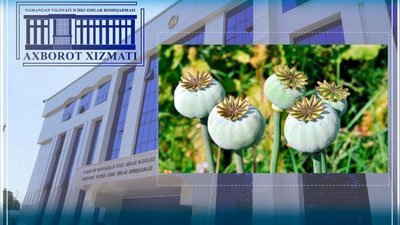 'Namanganlik 83 yoshli otaxon o`z hovlisida ko`knor etishtirishi aniqlandi'ning rasmi