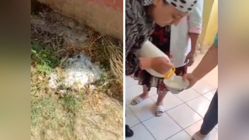 'Qashqadaryodagi bog`cha bolalari qatiqdan zaharlandimi?'ning rasmi