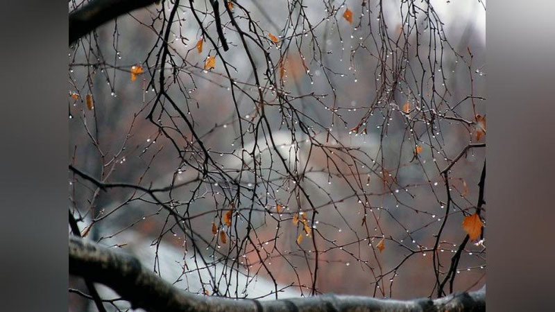 'Bugun O`zbekistonning qator hududlarida yomg`ir yog`adi'ning rasmi