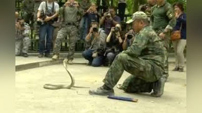 'Америка аскарларини кобранинг қонини ичишга ўргатишди'ning rasmi