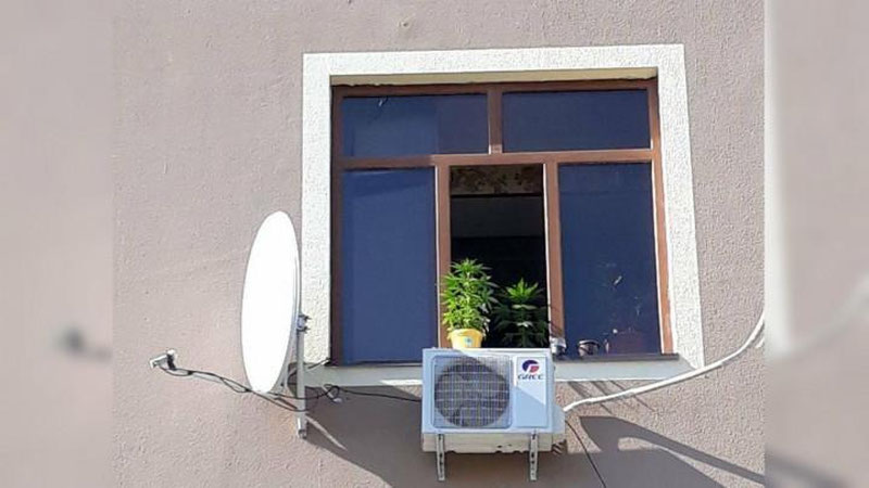 'Buxoroda ko`pqavatli uyida tuvaklarda giyohvand o`simligi etishtirilgan'ning rasmi