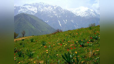 '3 май куни кутилаётган об-ҳаво маълумоти'ning rasmi