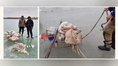 'Qoraqalpog`istonda brakoner baliq ovchilari jarimaga tortildi'ning rasmi