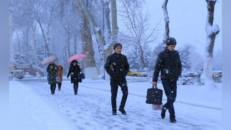 'Расман: Талабалар, мактаб ўқувчилари таътилга 28 декабрдан чиқишади'ning rasmi