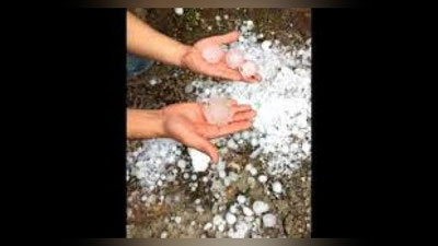 'Meksikada do`l yog`ishi oqibatida 40 kishi jarohatlandi'ning rasmi