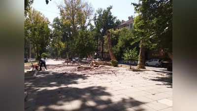 Изрображение 'В ТАШКЕНТЕ ОБЕЩАЮТ ЗАПУСТИТЬ КОЛЛ-ЦЕНТР ПО НЕЗАКОННОЙ ВЫРУБКЕ ДЕРЕВЬЕВ (ВИДЕО)'