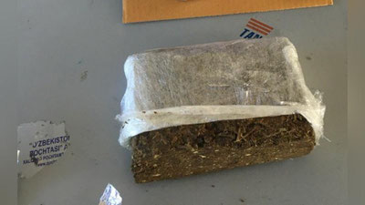 '​Jo`natmadagi 415 gramm marixuana to`xtatib qolindi'ning rasmi