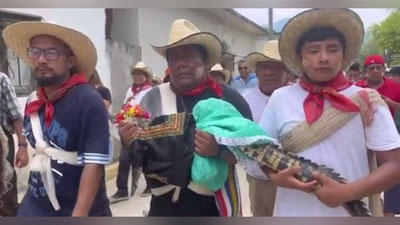 Изрображение 'В Мексике мэр города женился на аллигаторе (видео)'