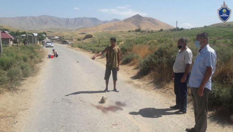 'Kitob tumanida 19 yoshli haydovchi "Kamaz" bilan 7 yoshli qizaloqning umriga zomin bo`ldi'ning rasmi