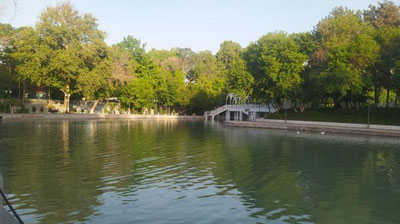 Изрображение 'В Ташкенте +30: погода на 17 мая'