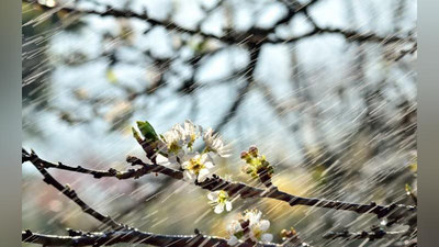 Изрображение 'ПОСЛЕ РЕКОРДНОЙ ЖАРЫ НАС ЖДЕТ ПОХОЛОДАНИЕ И ДОЖДИ'