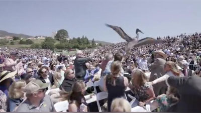 'Калифорнияда сақоқушлар диплом топшириш маросимини бузишига сал қолди (видео)'ning rasmi