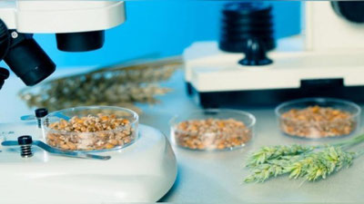 'Карантин рухсатномаси ва фитосанитар сертификати бўлмаган маҳсулотлар Ўзбекистонга киритилмайди'ning rasmi