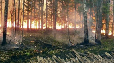 'Amerikada o`rmon yong`inlari ro`y bermoqda'ning rasmi