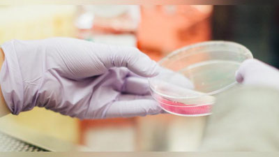 Изрображение 'Узбекистан усиливает санитарно-эпидемиологический контроль перед угрозой коронавируса'