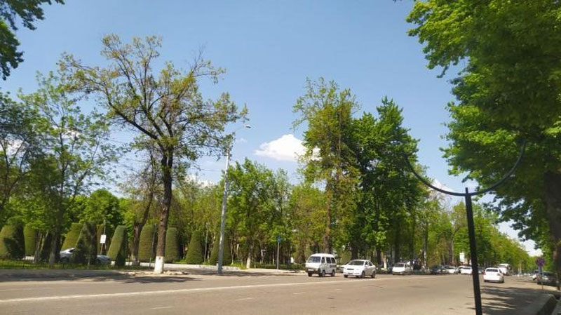 Изрображение 'В Ташкенте +29: погода на 20 апреля'