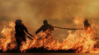 'АҚШда Сoachella мусиқа фестивали ўрмон ёнғини туфайли тўхтатилди (Видео)'ning rasmi