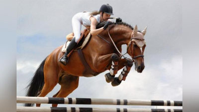 Изрображение 'В ТАШКЕНТЕ ОПРЕДЕЛИЛИСЬ ПОБЕДИТЕЛИ СОРЕВНОВАНИЙ ПО КОНКУРУ'