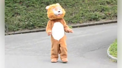 Изрображение 'Учения по ловле плюшевого льва озадачили живых хищников (видео)'