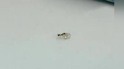 'Chumoli tarixda misli ko`rilmagan o`g`irlikni amalga oshirdi (Video)'ning rasmi