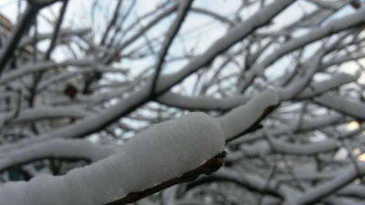 Изрображение 'ПОГОДА НА 20 ДЕКАБРЯ: НОЧЬЮ МОРОЗЫ УСИЛЯТСЯ, ДНЕМ ПОТЕПЛЕЕТ'