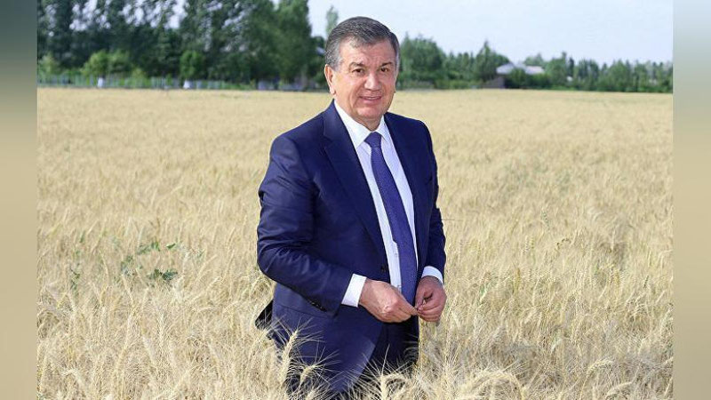 '"Bizning armonlarimizni umidga aylantirdingiz" Mirishkordan Prezidentga xat keldi'ning rasmi