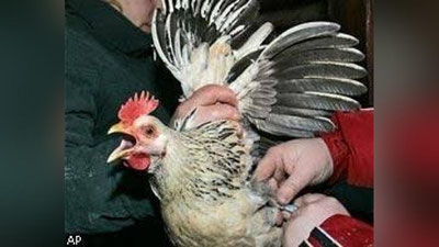 'AQSh restoranlaridan birida “oltin qanotlar” sotilmoqda'ning rasmi