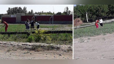 'Majburiy mehnatga yo`l qo`ygan maktab direktori jarimaga tortildi'ning rasmi