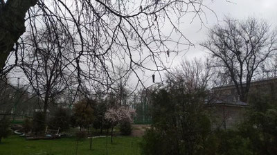 Изрображение 'Узгидромет обещает дожди, грозы и похолодание на этой неделе'