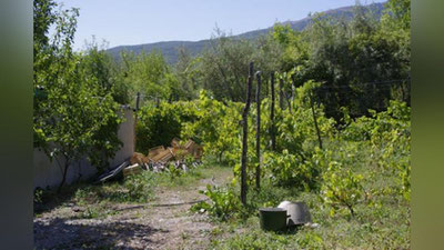 Изрображение 'В УЗБЕКИСТАНЕ ПОЯВИЛСЯ СОВЕТ ФЕРМЕРОВ И ВЛАДЕЛЬЦЕВ ПРИУСАДЕБНЫХ УЧАСТКОВ'