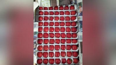 Изрображение 'Цены на помидоры в Узбекистане продолжают снижаться'