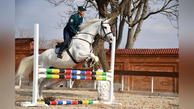 Изрображение 'Для конного отряда ППС в Ташкенте отстроен специальный комплекс (фото)'