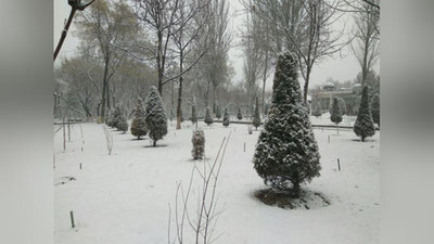 Изрображение 'В Узбекистане в пятницу станет еще холодней'