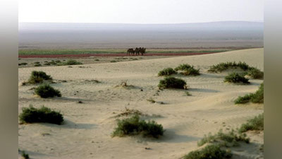 '​Orolbo`yi milliy tabiat bog`i tashkil etilmoqda'ning rasmi