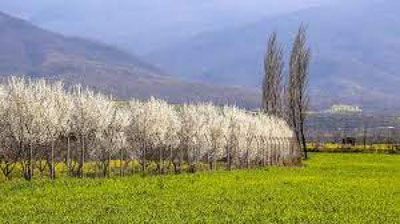'O`zbekistonda 9 aprel kuni qanday ob-havo kuzatilmoqda?'ning rasmi