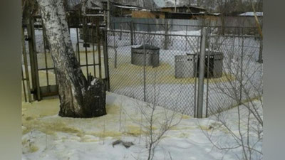 'Қозоғистонда ёққан қорнинг нега сариқ тусда бўлгани маълум бўлди'ning rasmi