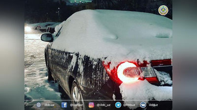 Изрображение 'ГУВД просит водителей убрать авто из-под деревьев и рекламных щитов'