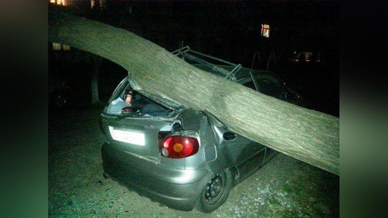 Изрображение 'УПАВШЕЕ ДЕРЕВО ПОВРЕДИЛО ГАЗОВУЮ ТРУБУ И АВТОМОБИЛИ В УЧТЕПИНСКОЙ МАХАЛЛЕ (ФОТО)'