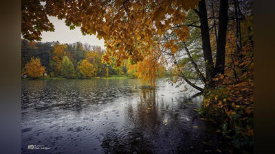 'Bugun uchta viloyatda yomg`ir yog`adi'ning rasmi