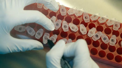 Изрображение 'В BioNTech - Pfizer разработали специальную вакцину против "индийского" штамма'