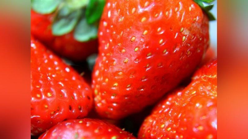 Изрображение 'ВОЗ ПРИЗНАЛА КЛУБНИКУ САМЫМ ОПАСНЫМ ПРОДУКТОМ'