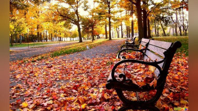 'Bugun O`zbekistonda qanday ob-havo kuzatiladi?'ning rasmi